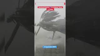 Extreme Winds from Hurricane Francine in Thibodaux Louisiana USA storm stormchasers [upl. by Vine829]