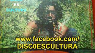 Peter Tosh ♦ Legalize It subtitulos español Vinyl rip [upl. by Edaj]