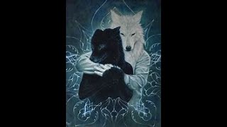 YOU WILL FIND A PATH FOR YOUR BETA OF SPIRIT WOLF🐺SOFTEN THE ENERGYamp BE STRATEIGIC🧐lunar wisdom [upl. by Ahsem]