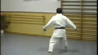 Kata Gensei Shodan Karate Gensei Ryu [upl. by Andris399]