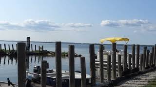 Swim Time for SadieBig Manistique LakeCurtis Michigan [upl. by Boar507]