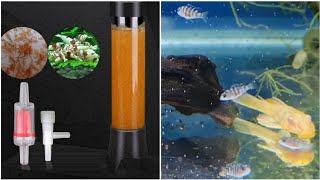 simple cheap and easy hatchery for brine shrimp eggs  easy artemia kit to hatch brine shrimps [upl. by Rihat]