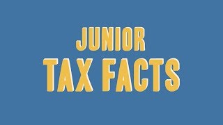 Junior Tax Facts [upl. by Ellertnom]