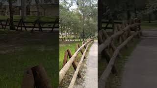 Salt Springs Florida adventures [upl. by Offen377]