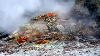 Campi Flegrei SUPERVOLCANO  Solfatara di Pozzuoli amp Fumarole Pisciarelli Italia Naples [upl. by Resarf575]