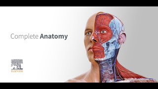 Introducing Complete Anatomy 2022​Two iconic anatomy brands are working together [upl. by Hpeosj864]