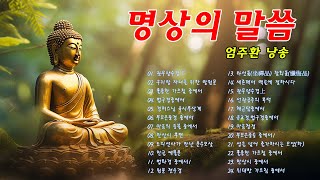 관무량수경下 마음의 등불 중에서 선관공주의 복덕 마음청정 ☯ 명상의말씀 명상의말씀 엄주환 엄주환 명상의 말씀 불교명상말씀 부처님말씀 가장 화로운곳  엄주환 낭송 [upl. by Rutra]