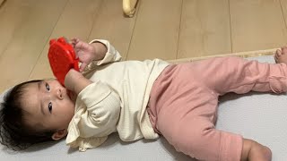 【寝る直前ライブ】shorts 赤ちゃん 아기 baby newborn শিশু sayang बच्चा bebé newbornbaby bambina japanese [upl. by Daphne]