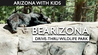 Bearizona Wildlife Park Review With Kids [upl. by Alayne]