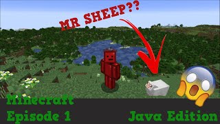 Finding Mr Sheep in Mc l Minecraft Ep1 Java Edition minecraft gaming [upl. by Ydner963]