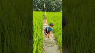 🐟🐟👍funny fishing comedyfilms [upl. by Boy]