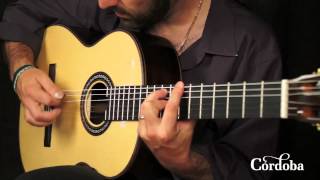 Cordoba Guitars  C10 Spruce [upl. by Haila351]