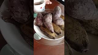 steam sweet potato and banana from our small farm [upl. by Enihpesoj]