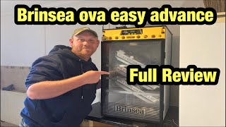 BRINSEA over easy INCUBATOR full REVIEW [upl. by Mellins225]