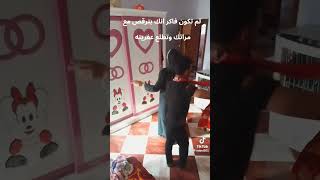 😂🤣ضحكة على الماشي يوميات شوشوولولو 🥰😘 [upl. by Ruthy]