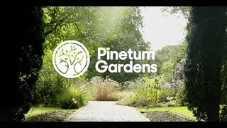 Pinetum Gardens [upl. by Euqinomad809]