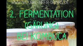 😋❤️ Zweitfermentation  Zweite Fermentation 2 Gärung bei Kombucha [upl. by Omrellig]