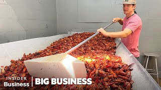 How A Louisiana Crawfish Company Harvests 60000 pounds A Day  Big Business  Insider Business [upl. by Drugge992]