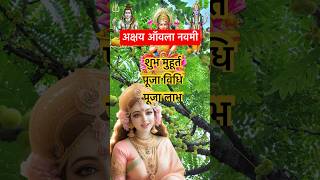 akshay awala navami  shubh muhurtpuja vidhi  puja labh akshaynavmi shorts [upl. by Amersham]