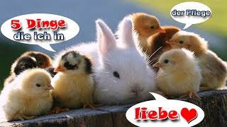 5 Dinge die ich in der Pflege liebe [upl. by Nwahsirhc630]