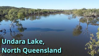 Undara Lake North Queensland with Kangaroos [upl. by Cone810]