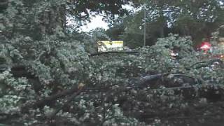 STATter 911 Rescue after tree falls on car in Washington DC [upl. by Lach]