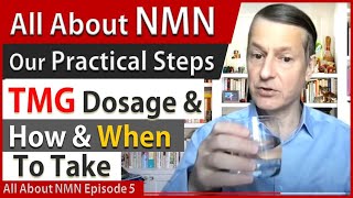 All About NMN Ep5  TMG Dosage amp How amp When To Take  Our Practical Steps [upl. by Victoir]