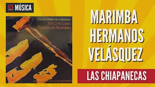 Marimba Hermanos Velásquez de Venustiano Carranza Chiapas «Las chiapanecas» [upl. by Anaitsirc]