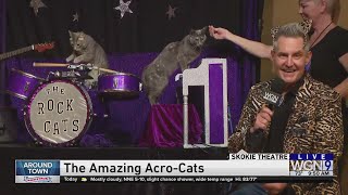 Around Town  The Amazing AcroCats [upl. by Krishnah439]