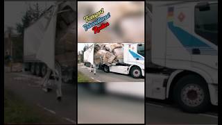 Transport International Routier tir lkwfahrer camion chauffeur trucker truckdriver lkw [upl. by Ameerahs]