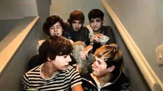 Week 8  One Direction Video Diary [upl. by Eittocs]