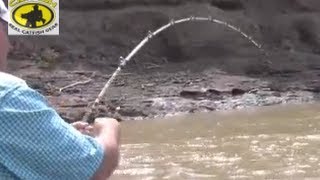 How to catch channel catfish in a muddy creek with catfish bait Team Catfish Video 1 [upl. by Joiner]