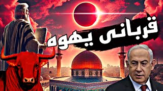 قربانی کردن گاو سرخ یهود  داستان بنی اسرائیل ظهور دجال [upl. by Hasin873]