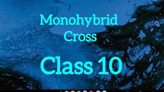 Class 4Monohybrid Cross Class 10 Science [upl. by Sneed518]