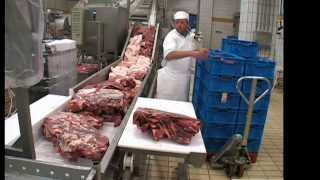 Salami Processing Line with Cutter [upl. by Kalina]