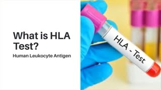 What is a HLA Tissue Typing Test Human Leukocyte Antigen  Lyfboat [upl. by Assenev]