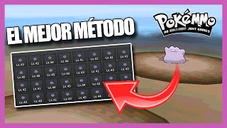 PokeMMO  GANA DINERO con DITTOS💲 [upl. by Ahsotan231]