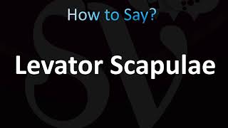 How to Pronounce Levator Scapulae Muscle CORRECTLY [upl. by Friedlander613]