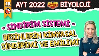 Besinlerin Kimyasal Sindirimi ve Emilimi  AYT Biyoloji Kamp2022 [upl. by Sachs]