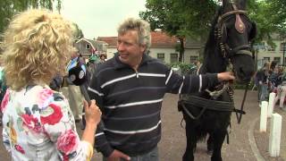 Paardenmarkt Rijnsburg 2013 [upl. by Debby931]