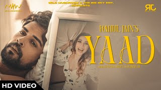 Yaad Official Music Video  Rahul Jain  Piyush Sahdev  Sehrish Ali  New Hindi Song 2024 [upl. by Noseyt]