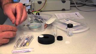 EChem Startup System and Electrodes Electrochemistry eDAQ Potentiostat [upl. by Gernhard]