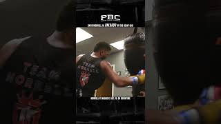 David Morrell Jr ULOADS on the Heavy Bag [upl. by Star930]