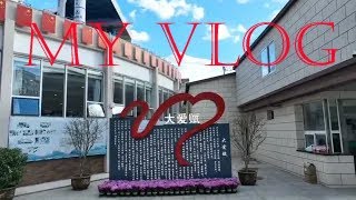 My Shot Vlog quotThe Vocational And Technical Collegequot Korean Boy and Girl [upl. by Onirotciv]