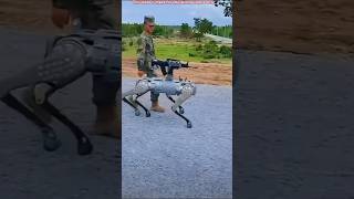 यह लड़का रोबोटिक डॉग लेकर चलता हैrobotic dog shortsvideo [upl. by Hardner]