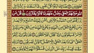 QuranPara1130Urdu Translation [upl. by Eseuqcaj949]