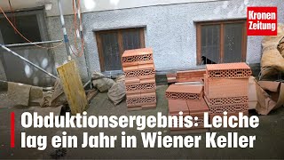 Wiener Kellerleiche war übersät mit Stichwunden  kronetv NEWS [upl. by Nitnilc]