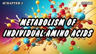 Chapter  3  Metabolism Of Individual Amino Acids Part3  Hindi [upl. by Ferne630]