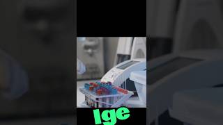 what is IGE immunoglobulin E IGE [upl. by Derriey432]