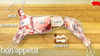 How to Butcher an Entire Lamb Every Cut of Meat Explained  Handcrafted  Bon Appetit [upl. by Neelak366]